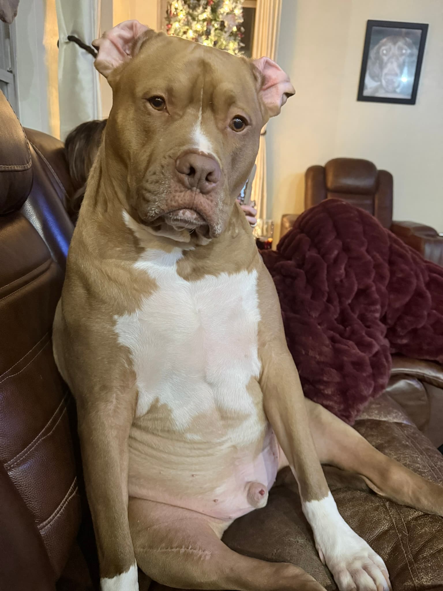 Tank