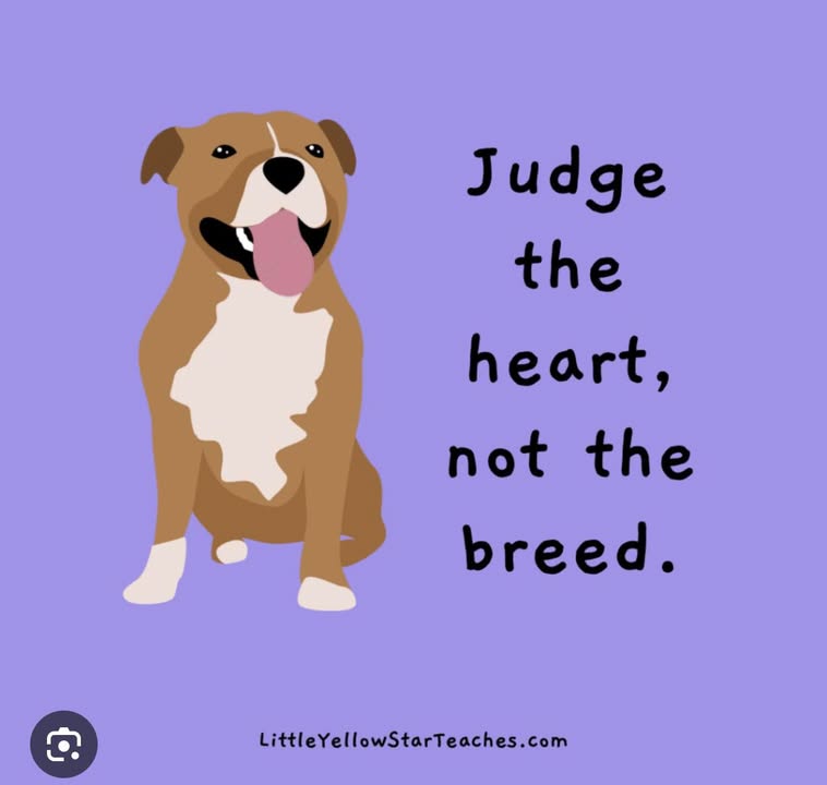 Illustration of a pit bull with the words: Judge the heart, not the breed